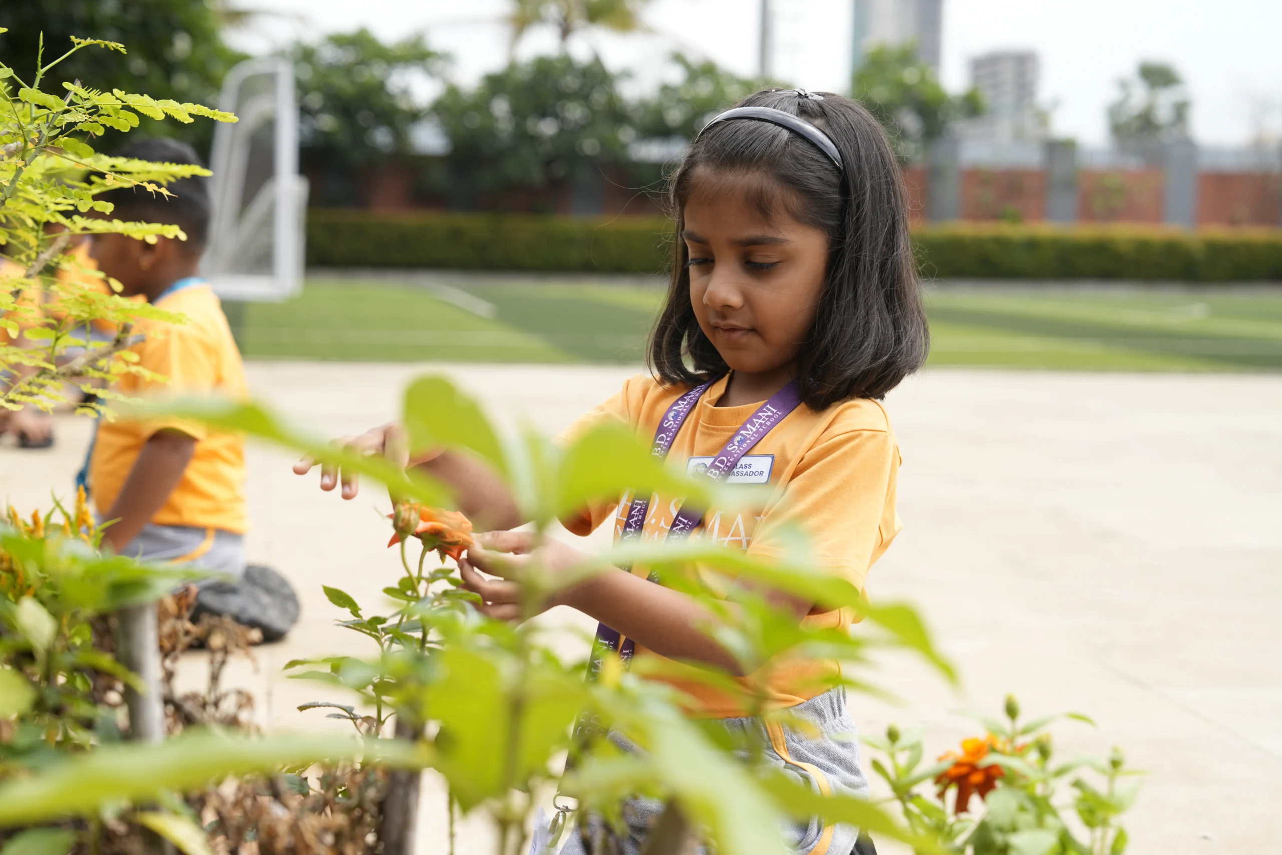 Learning in Nature